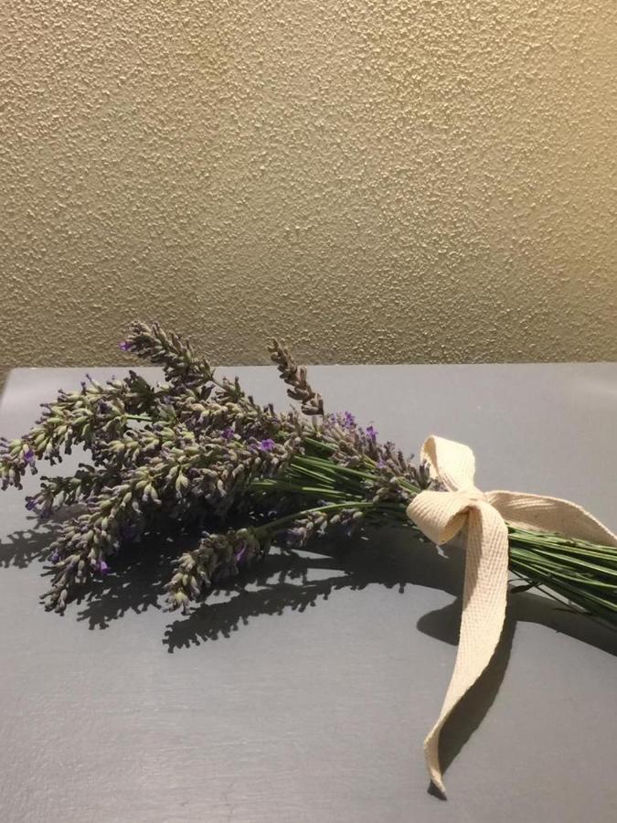 Casina Bella Appartement Cortona Buitenkant foto
